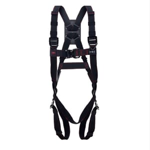 Pioneer Advanced 2-Point Harness
